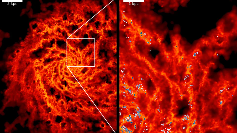 Stellar feedback and Giant Molecular Cloud Evolution